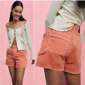 Urban Outfitters | BDG Cut Off Carpenter Short Dark Orange Rust Red Size 24